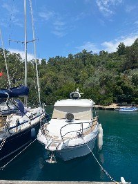 RANIERI CLF 30 - Küçük Resim