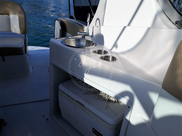 2010 FOUR WINNS V285