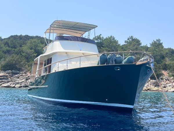 2008 CLASSIC CRUISER 55