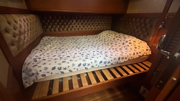 2008 CLASSIC CRUISER 55