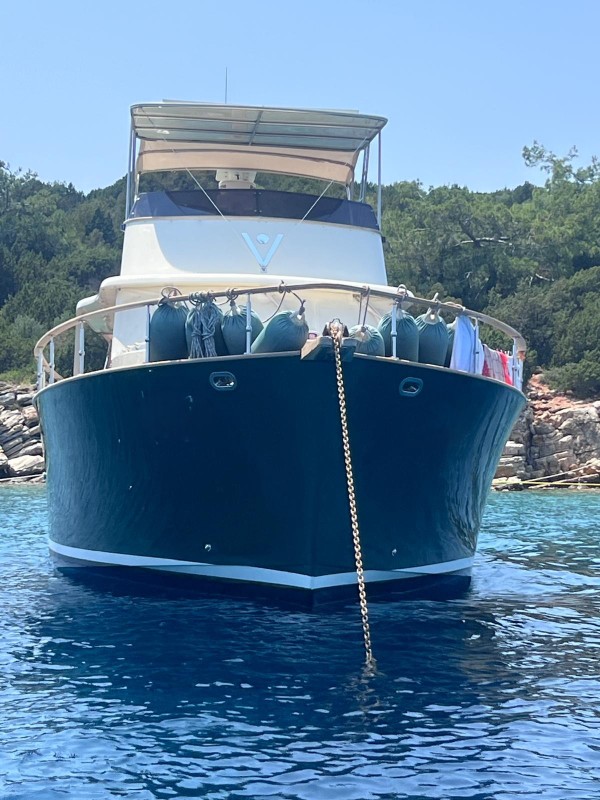 2008 CLASSIC CRUISER 55