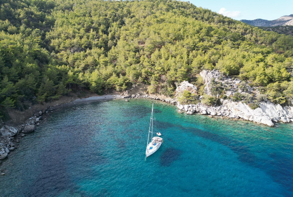 2013 JEANNEAU SUN ODYSSEY 509 15 M