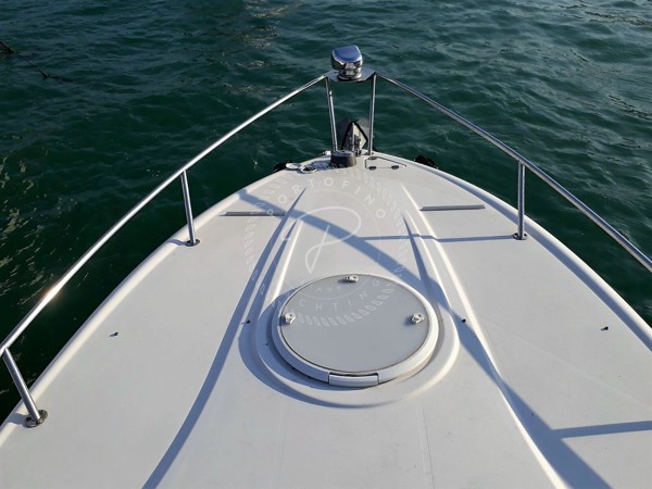 2010 FOUR WINNS V285