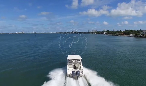 2016 SAILFISH 325 DC