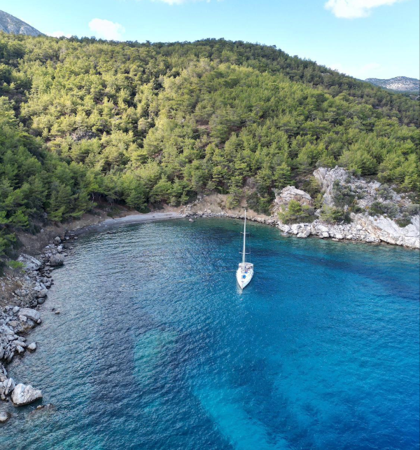 2013 JEANNEAU SUN ODYSSEY 509 15 M