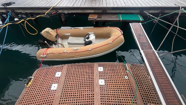 2008 CLASSIC CRUISER 55