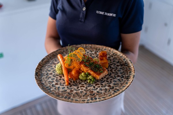 2010/2020 MOTOR SAILER 44 M 